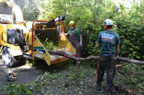 tree services Uniontown